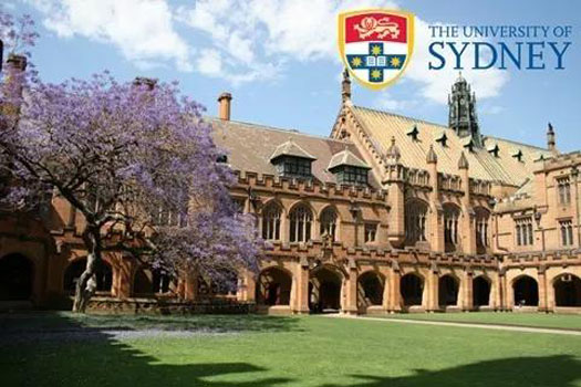 澳洲悉尼大学定向班